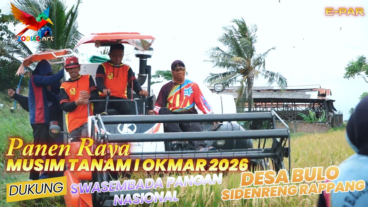 Bupati Sidrap Panen Raya MT 1 Okmar 2026 di Desa Bulo Kec. Panca Rijang Kab. Sidrap
