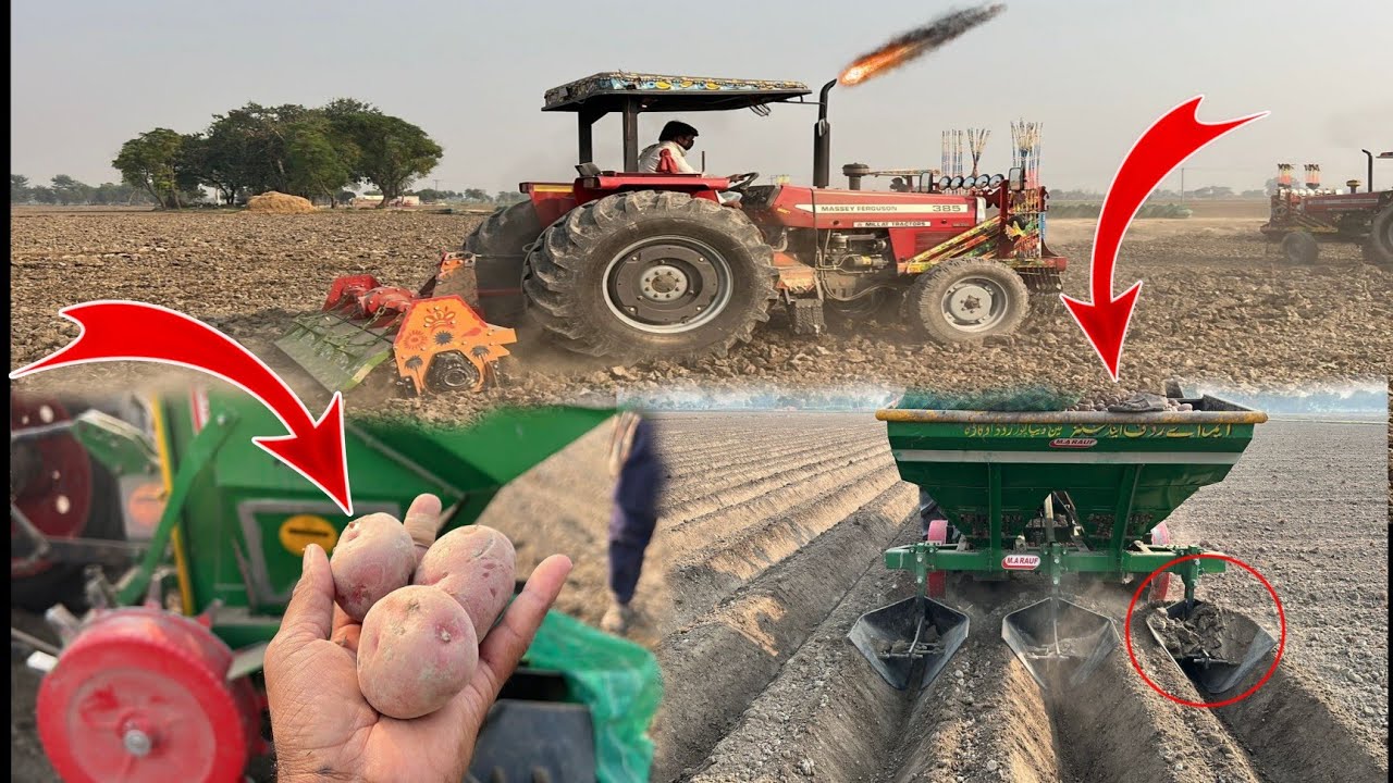 6 bar rota per acer Camel aalo Ki kashat K liay zameen ki tyari high profile project cost ktni hogi