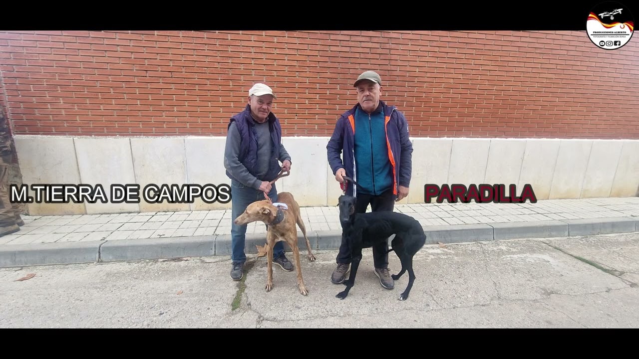XXIII EDICION COPA PALENCIA DE GALGOS EN CAMPO  TEMPORADA 2024 2025