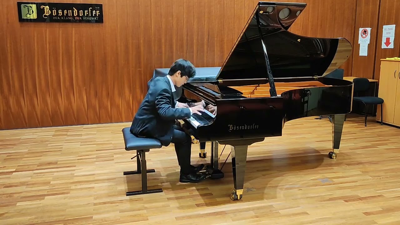 Liszt - Transcendental Etudes No. 4: 