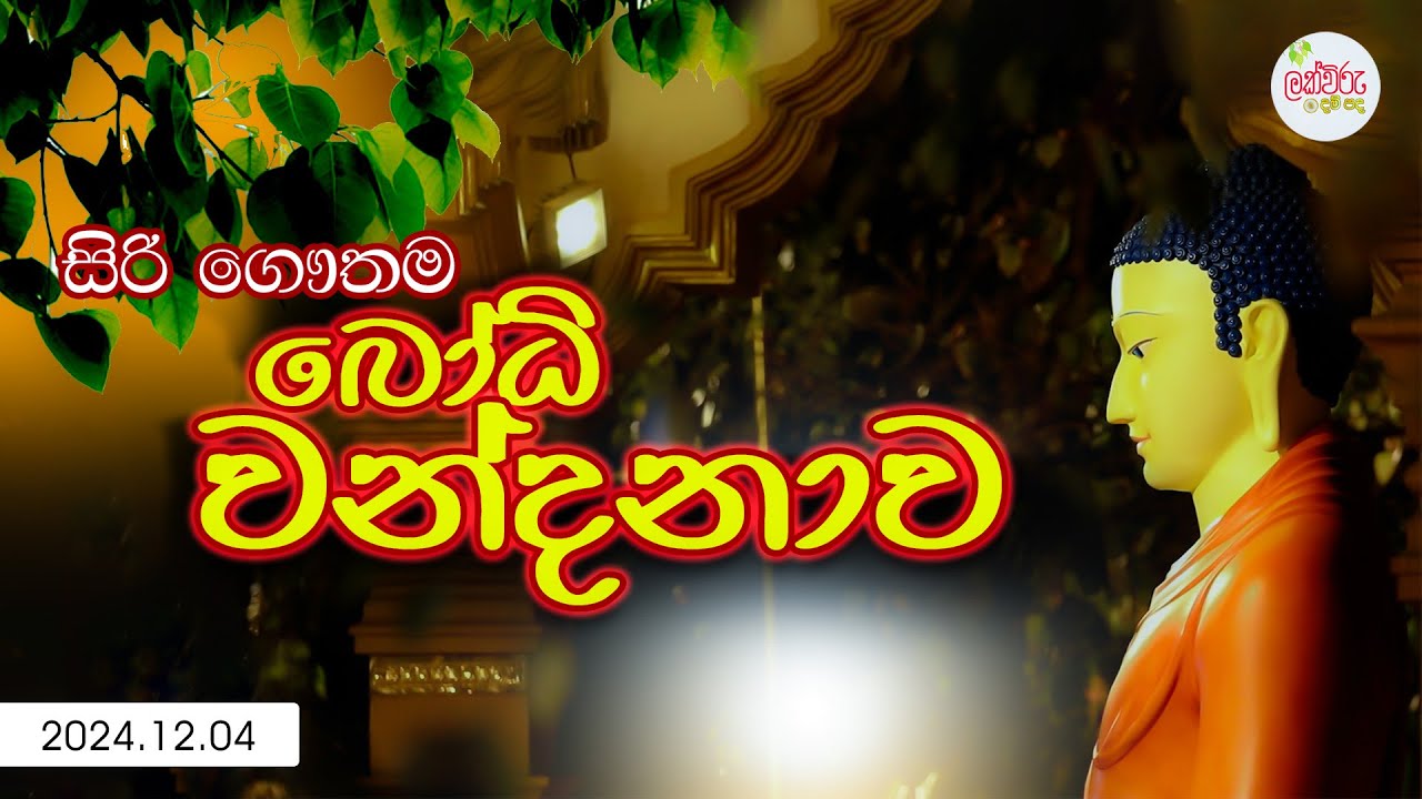 සිරි ගෞතම බෝධි වන්දනාව | 2024.12.04