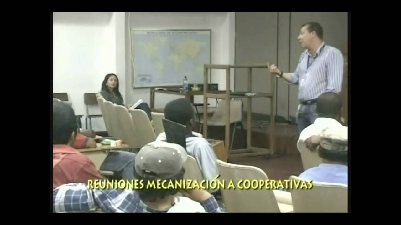 Corteros de ca&ntilde;a opinan sobre la mecanizaci&oacute;n