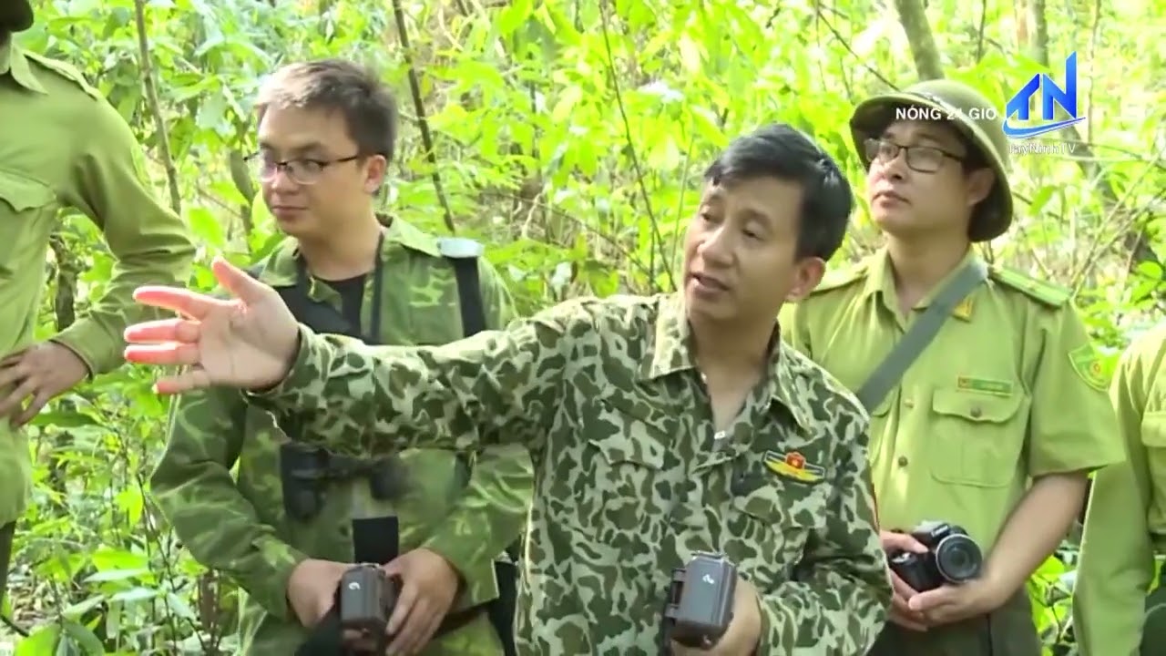 Thanh Hóa nhân giống, bảo tồn và phát triển các loài thực vật quý hiếm | TayNinhTV