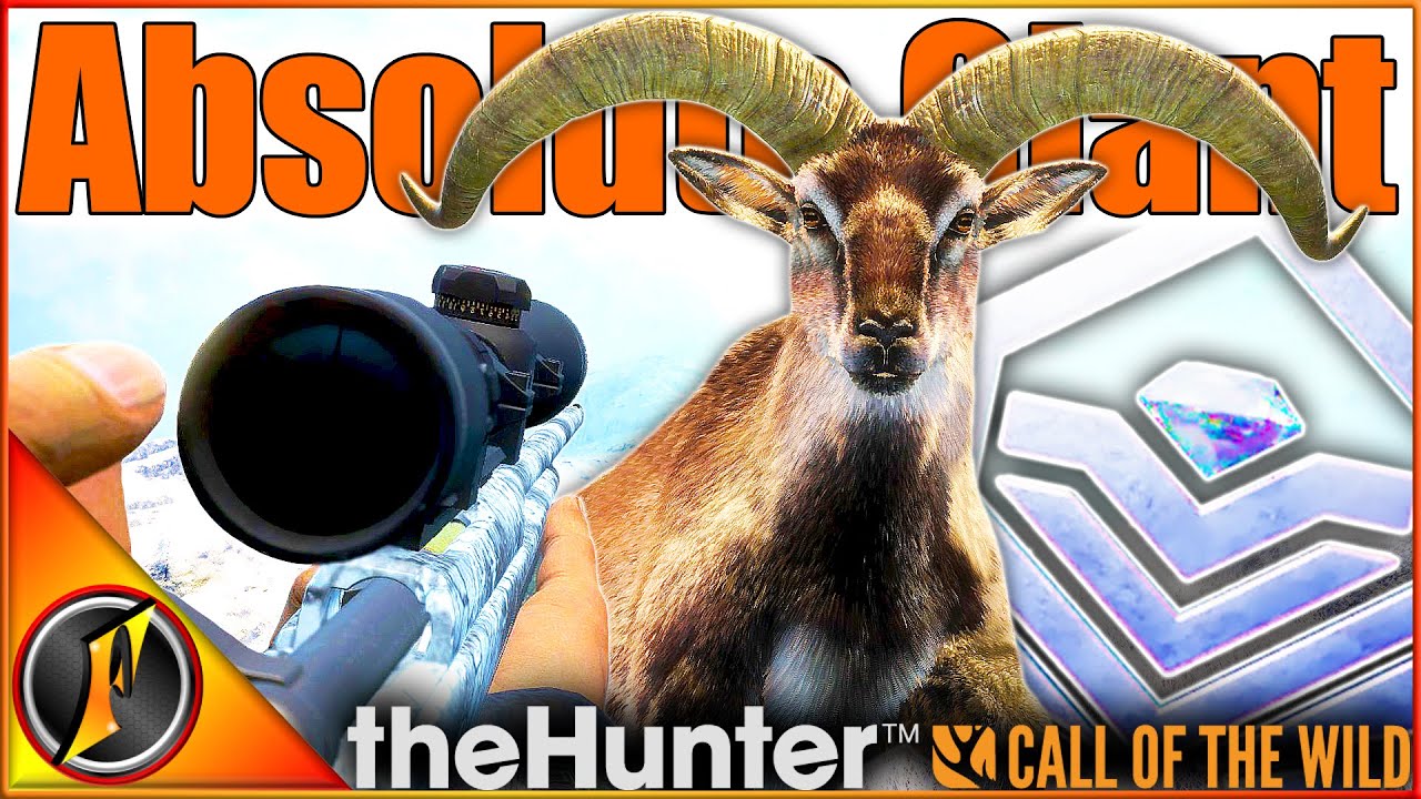 Абсолютно ГИГАНТСКИЙ голубой баран на нашей охоте на снежного барса! | theHunter Зов дикой природы