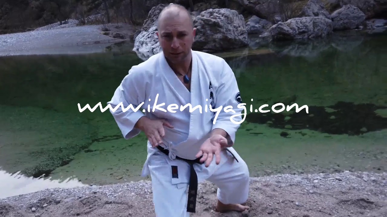 Okinawa karate Meibukan Goju ryu Ikemiyagi Dojo Italia