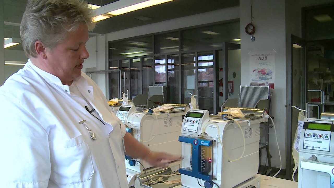 Blodets gang i blodbanken