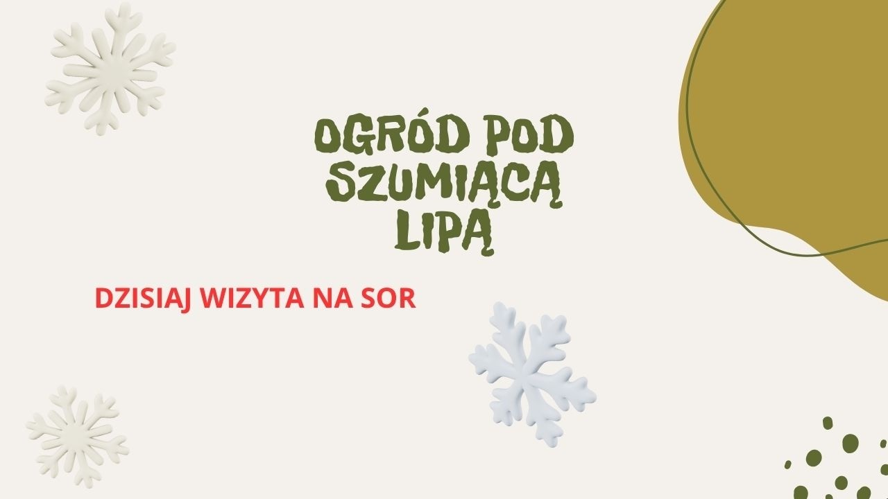 Dzisiaj wizyta na SOR.