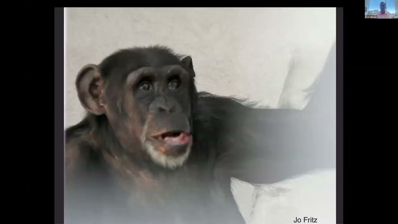 KANZI'S LEGACY--DEREK WILDMAN