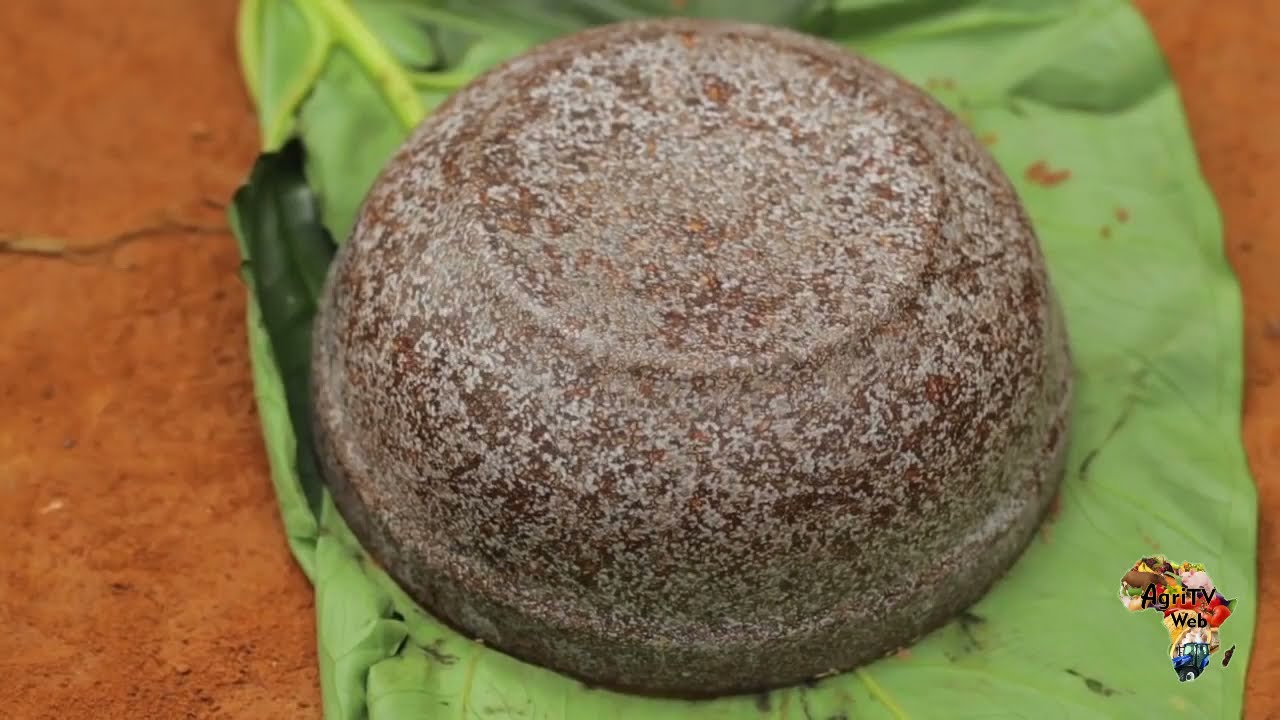 Exemple de valorisation et transformation du noyau de la mangue sauvage (ndo'o)