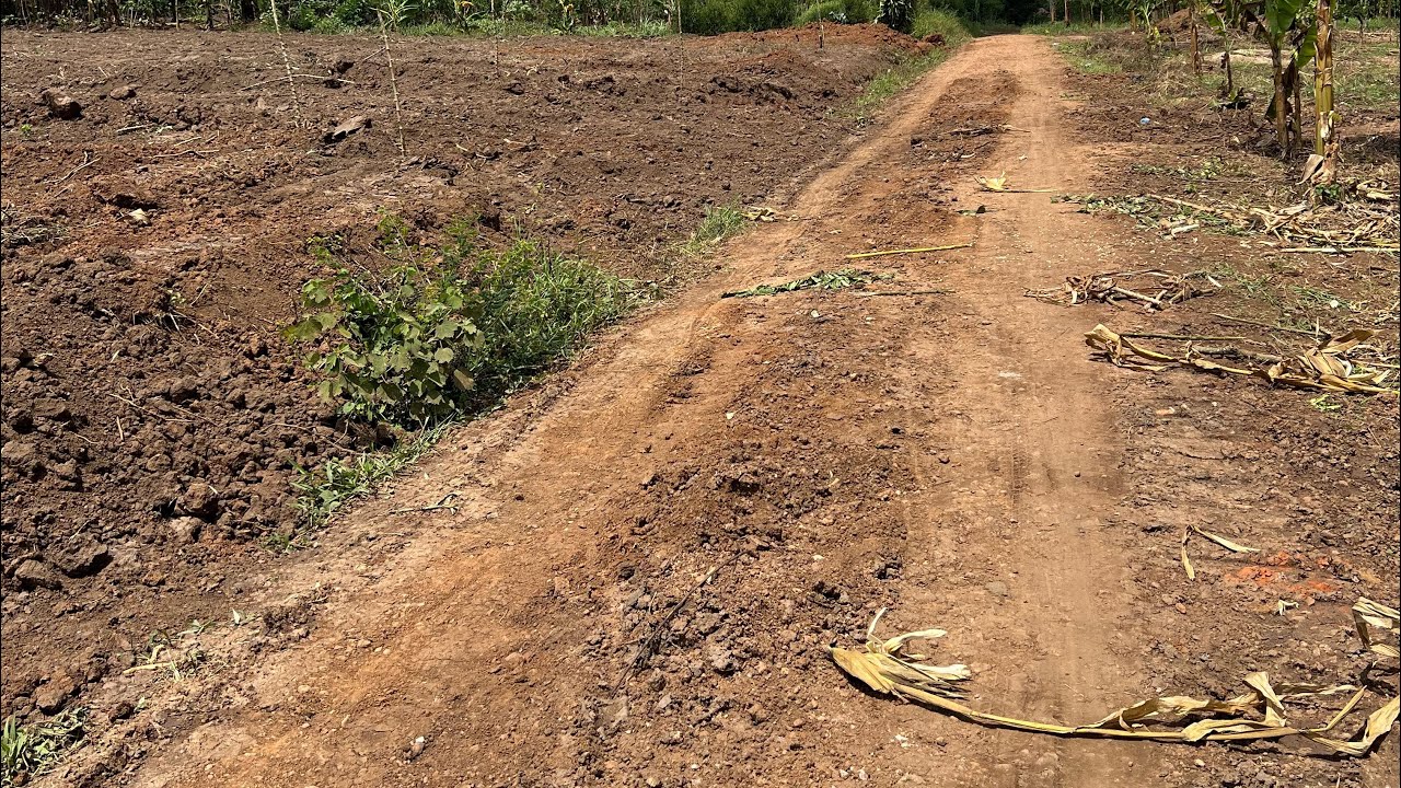 2026 NEW MASAVU ESTATE GOBERO HOIMA ROAD PLOTS FOR SALE WITH LAND TITLES 50/100