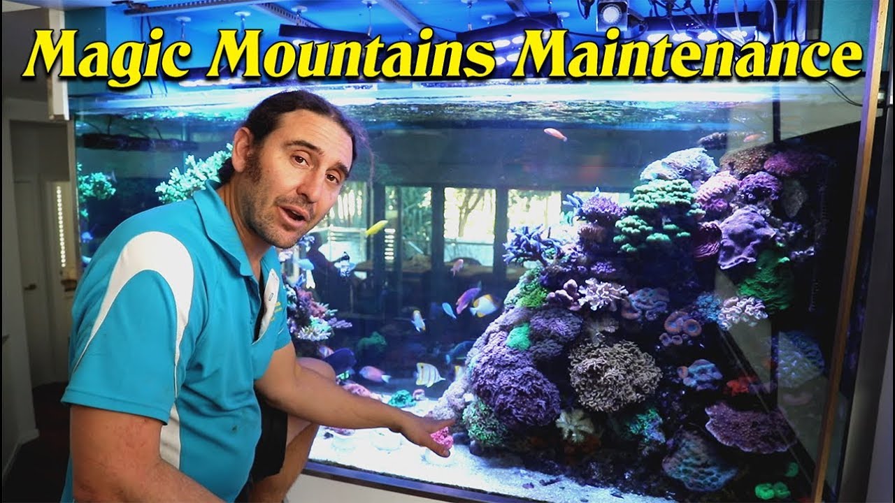 Magic Mountains Maintenance --- Gallery Aquatica TV