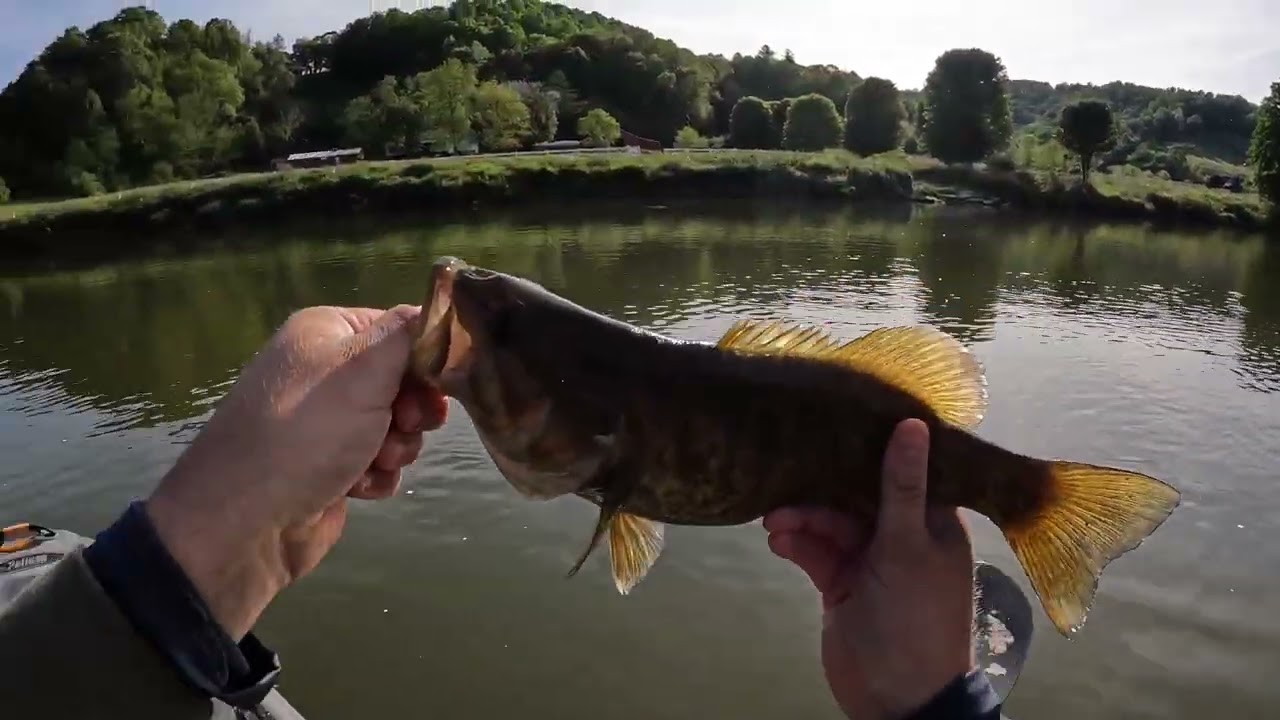 New River North Carolina Spring Smallmouth Bass Fishing
