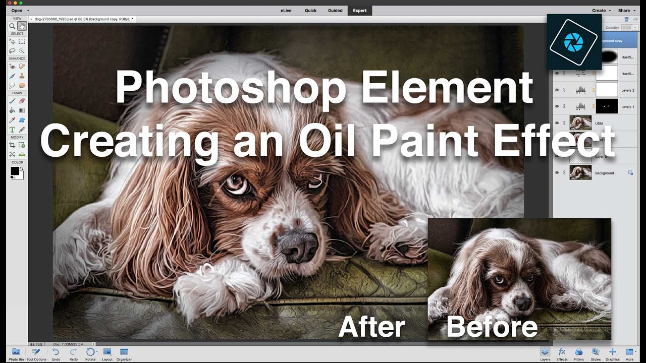 Oil Paint Effect Photoshop Elements