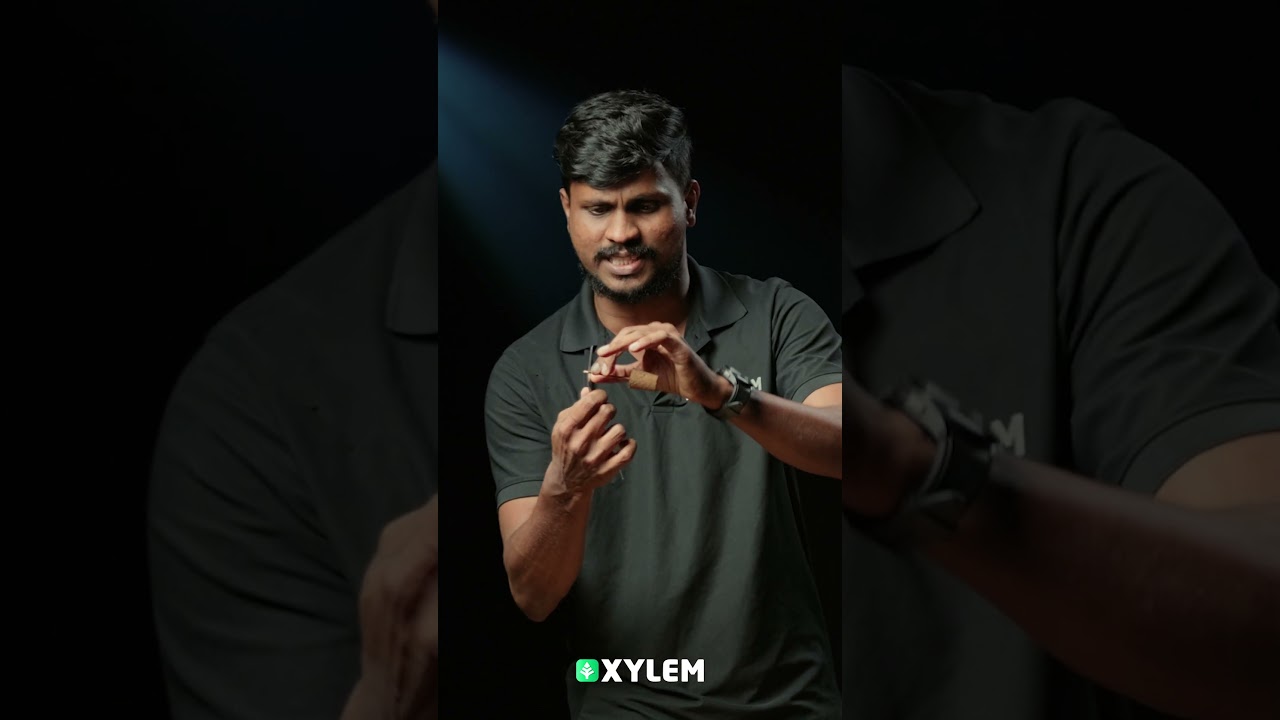 Magic of Center of Gravity | Xylem Class 6