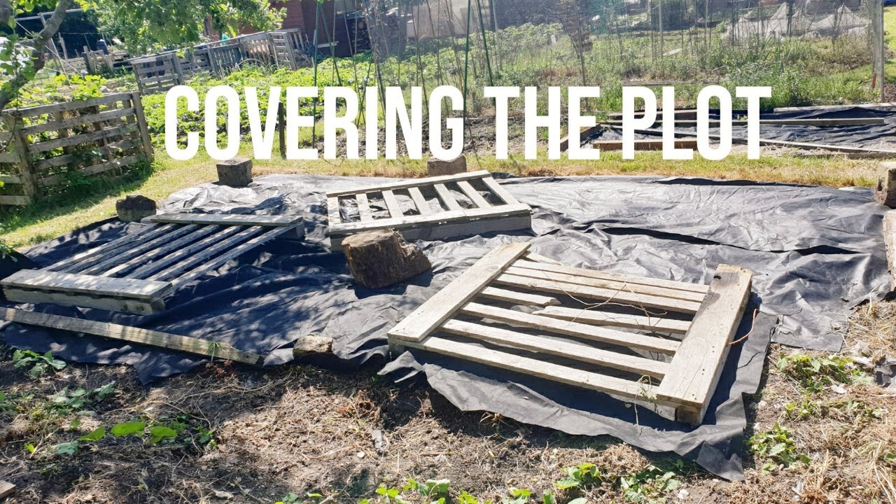 Day 2 On My First Allotment | Clearing and Covering | Allotment Transformation