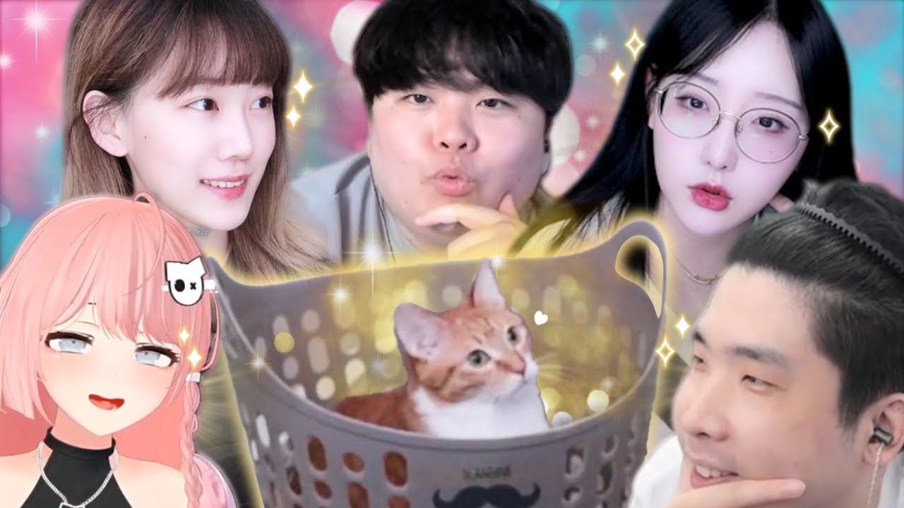 아크라시아에 등장한 귀여운 고양이 보고 가실래요? [로스트아크]