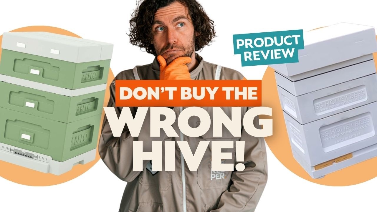 Abelo vs BS Honey Bees Poly Hive Review