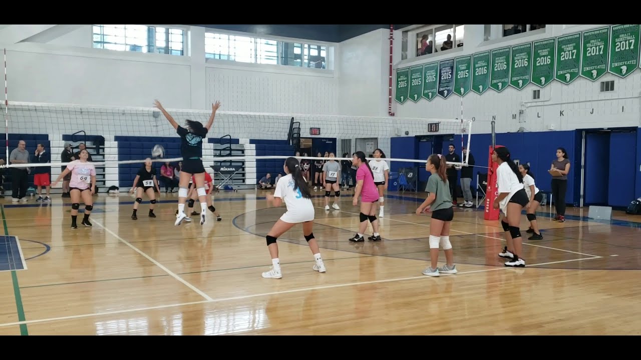 Vipers Tryouts