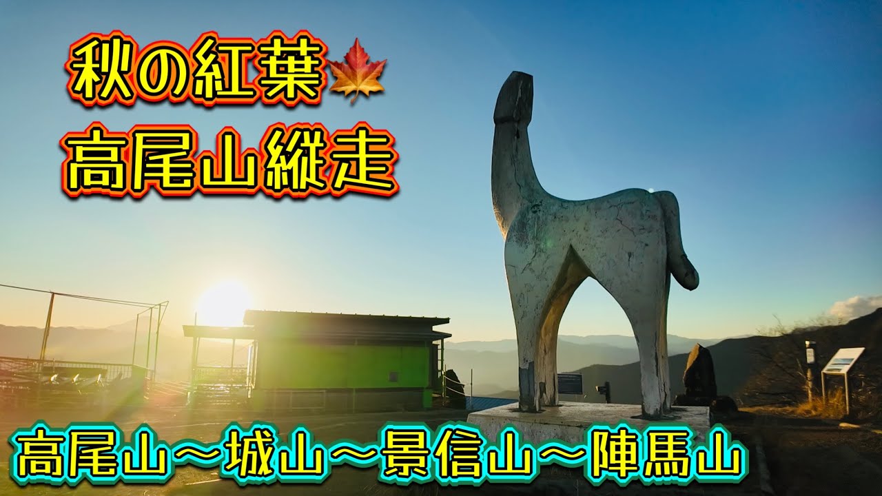 秋の紅葉🍁高尾山縦走　高尾山〜城山〜景信山〜陣馬山　2025.11.28