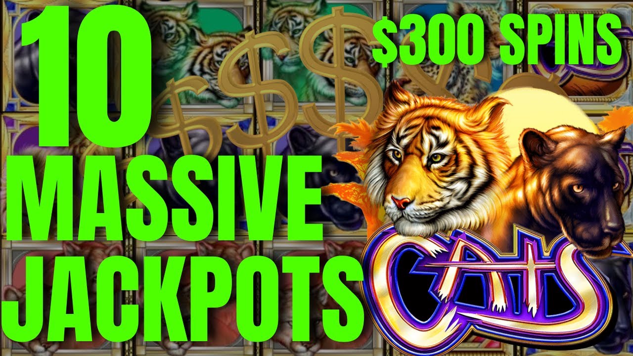 💵 10 JACKPOTS-$300 SPINS! LARGEST PROFIT on CATS SLOT MACHINE EVER ON YOUTUBE! MASSIVE HIGH LIMIT! 💵
