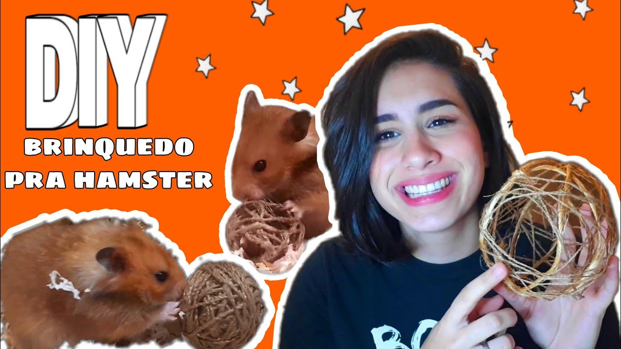BRINQUEDO PARA HAMSTER: Bolinha de sisal | DIY