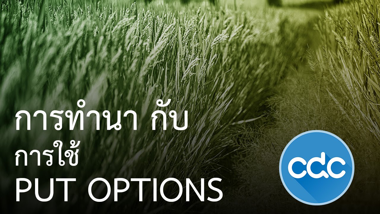 CDC เลิกเม่า #01 การใช้ Put Option กับการปลูกข้าว