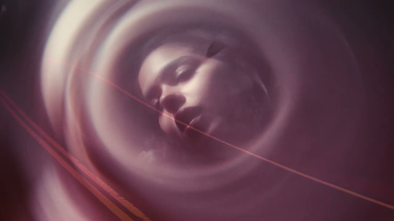 Lua & the Nightflowers - Elated  [Official Video]