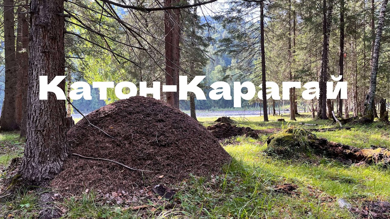На краю страны. Бухтарма, Катон-Карагай, Берель.