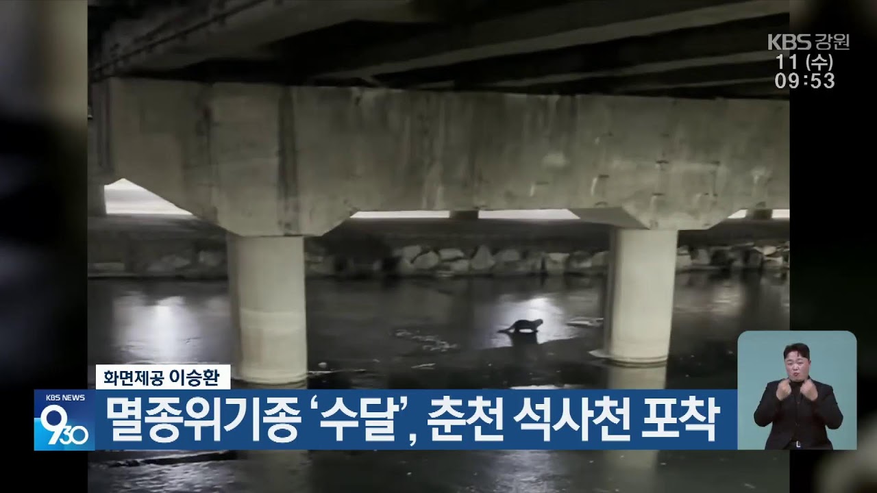 2026.2.11 KBS강원 930뉴스