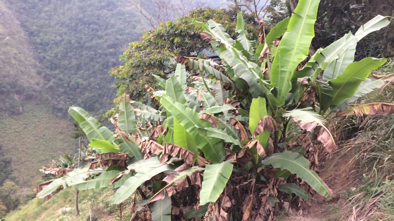 Norte De Santander, Colombia