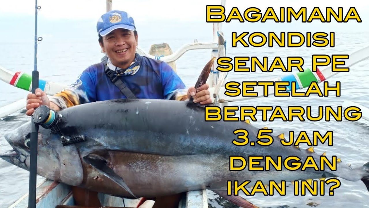 Analisa PE SAMSON X12 setelah fight dengan tuna 3.5 jam