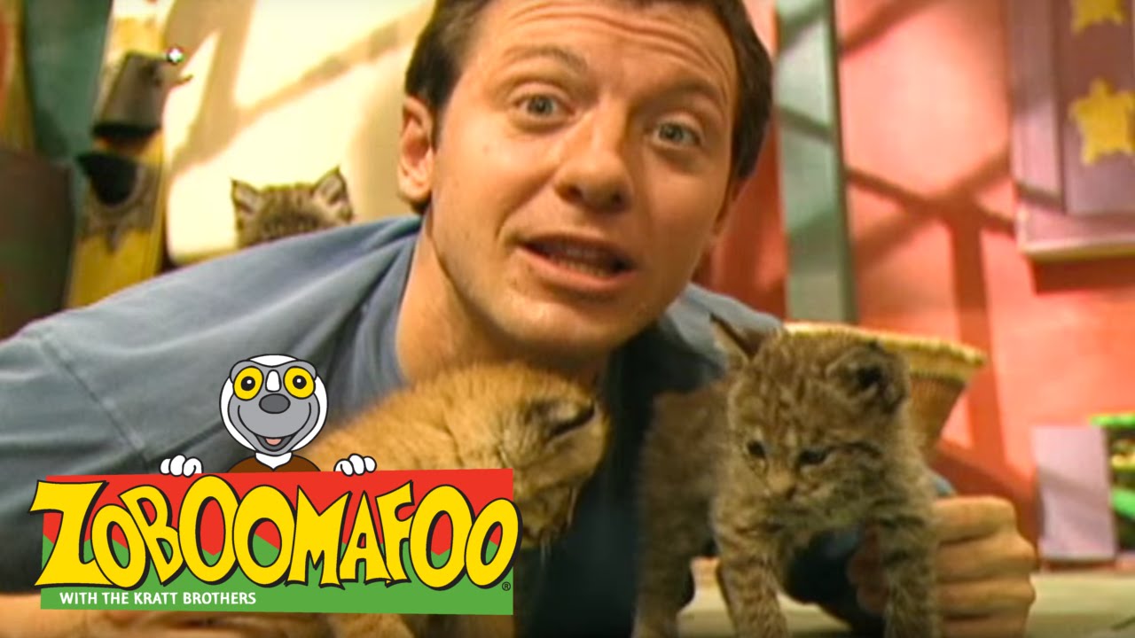Zoboomafoo 120 - Animal Daycare (Full Episode)