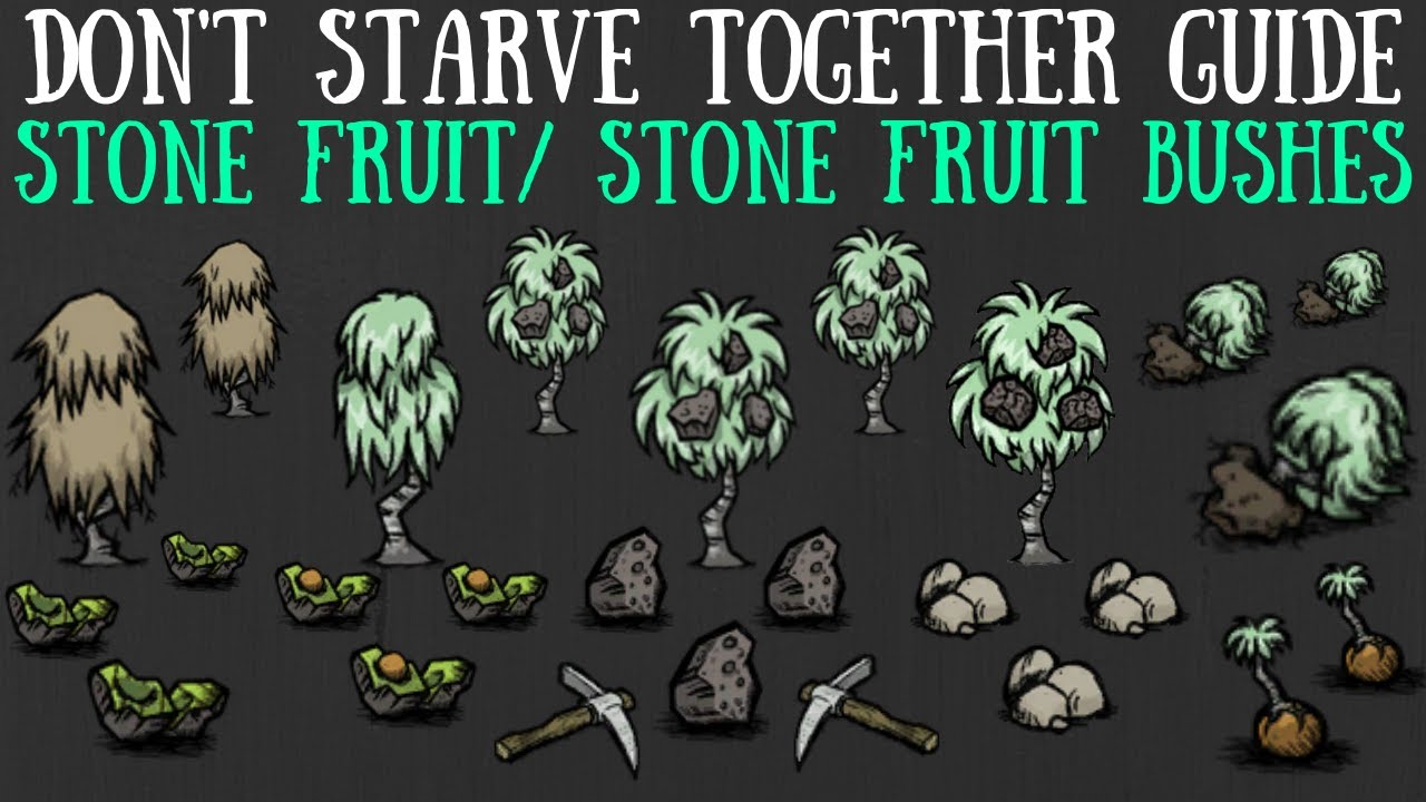 Stone Fruit Bushes & Stone Fruit - Don't Starve Together Guide [Return of Them] [Lunar Island]