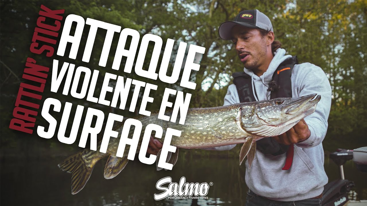 RATTLIN' STICK: ATTAQUE VIOLENTE EN SURFACE