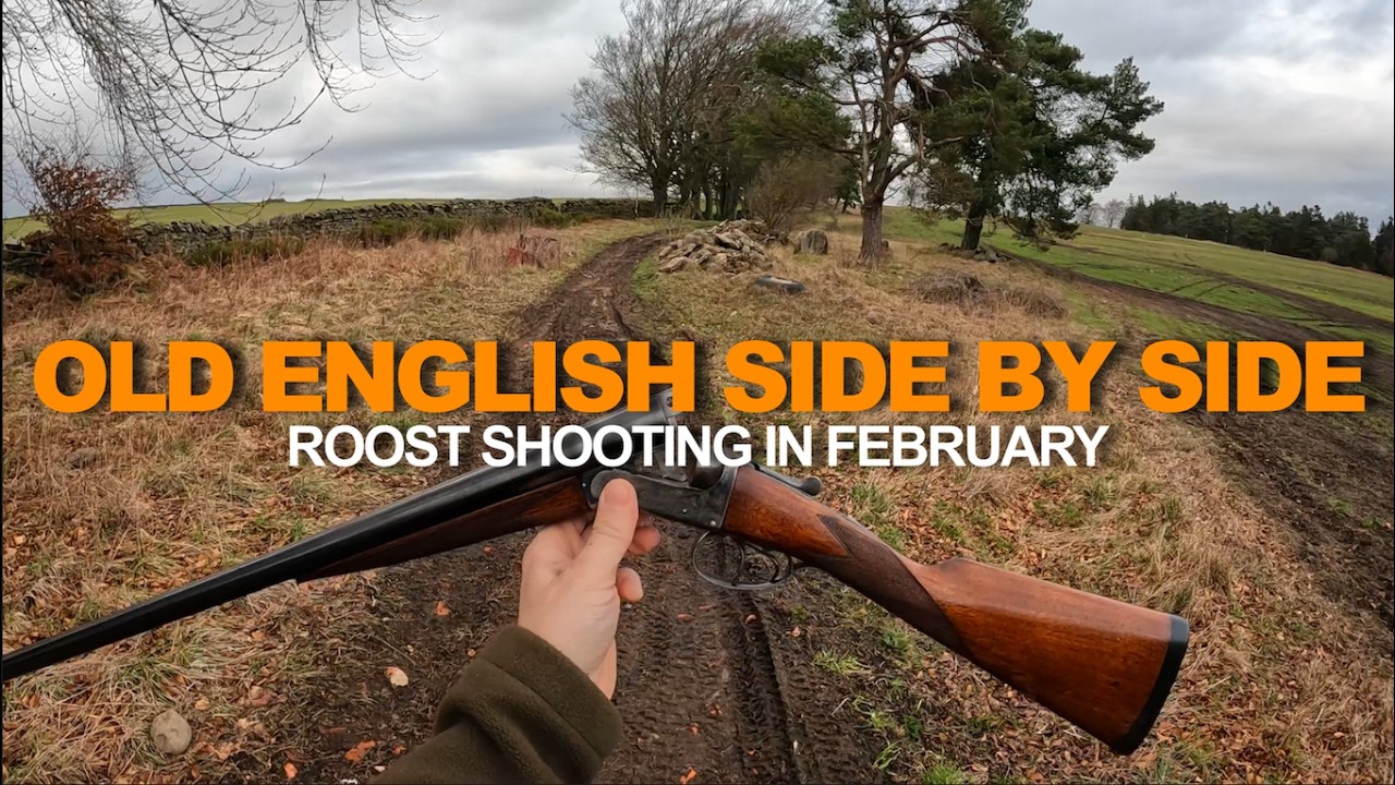 FEBRUARY ROOST SHOOTING | With An Old English Side By Side |