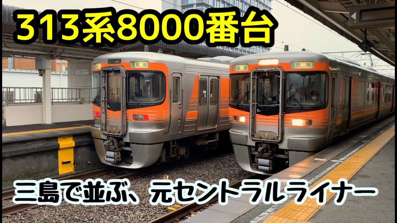 【あの衝撃的な転属から1年】313系8000番台静岡地区特集　駅・走行シーン
