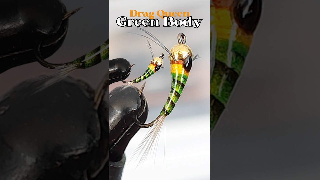 Tying a trout pattern that never fails!! Arzur Drag Queen  💯😜🍀. #montajedemoscas #atadodemoscas