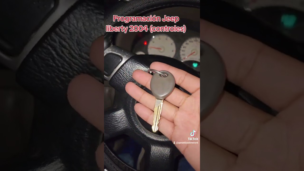 programación Jeep Liberty 2004 control km100 con control generado