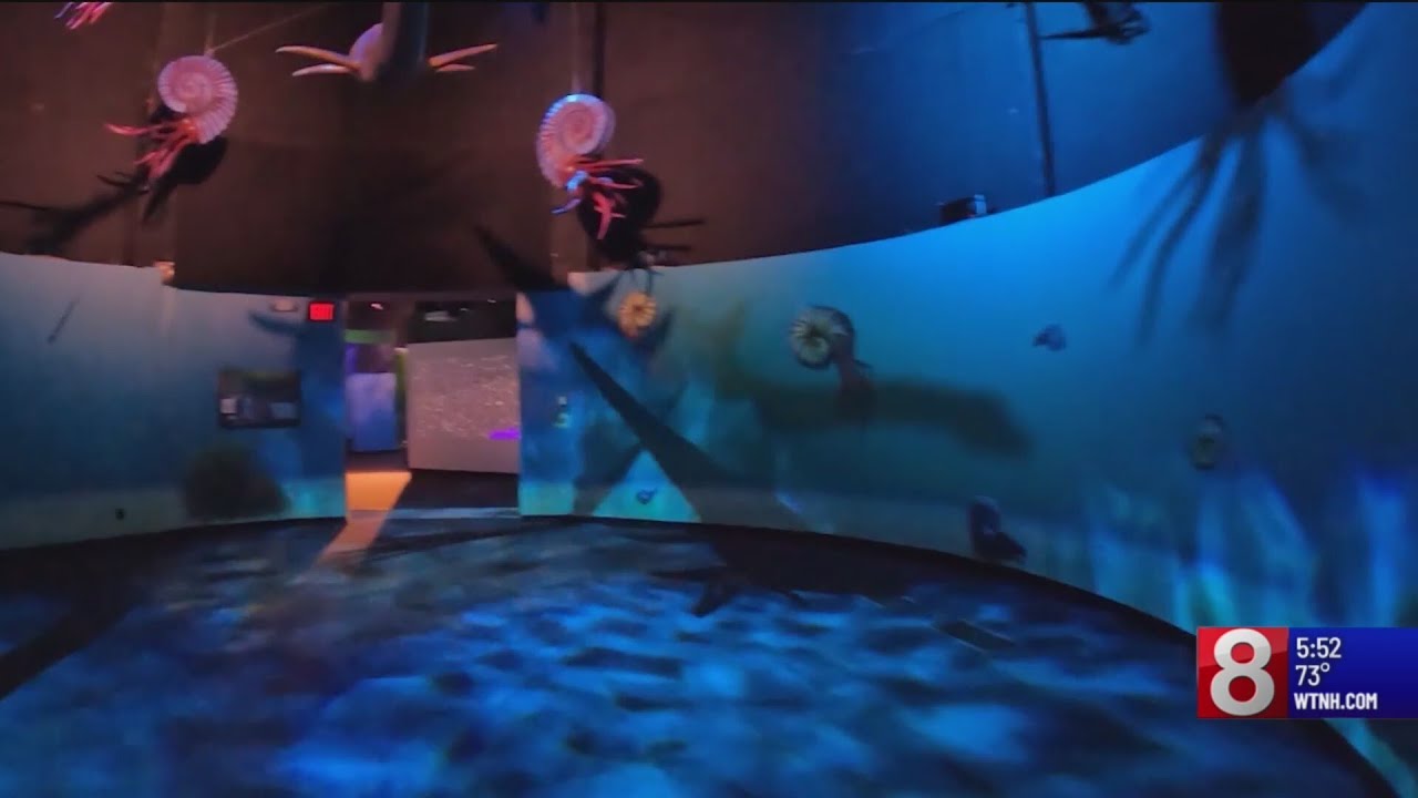 Mystic Aquarium’s Dino Seas exhibit is immersive experience