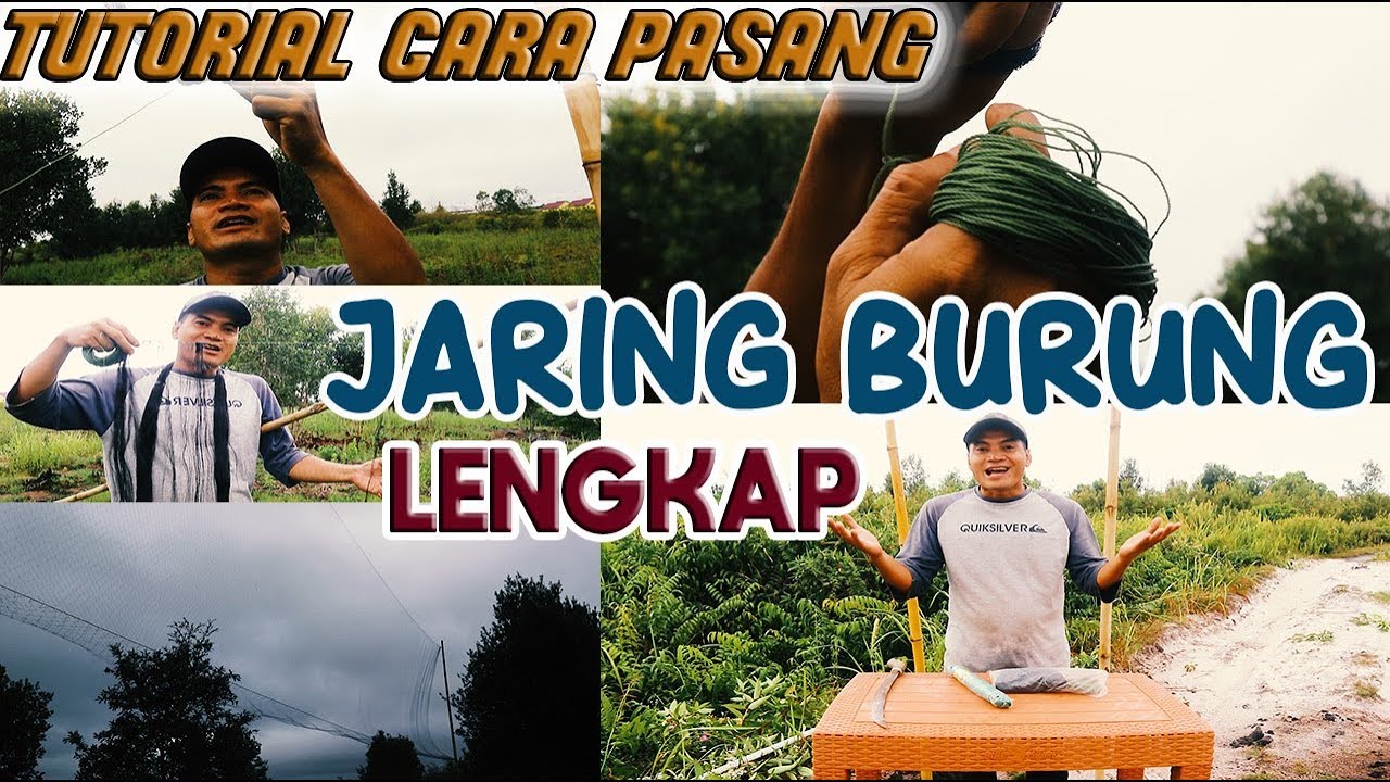 CARA PASANG JARING BURUNG dengan BAIK DAN BENAR secara LENGKAP