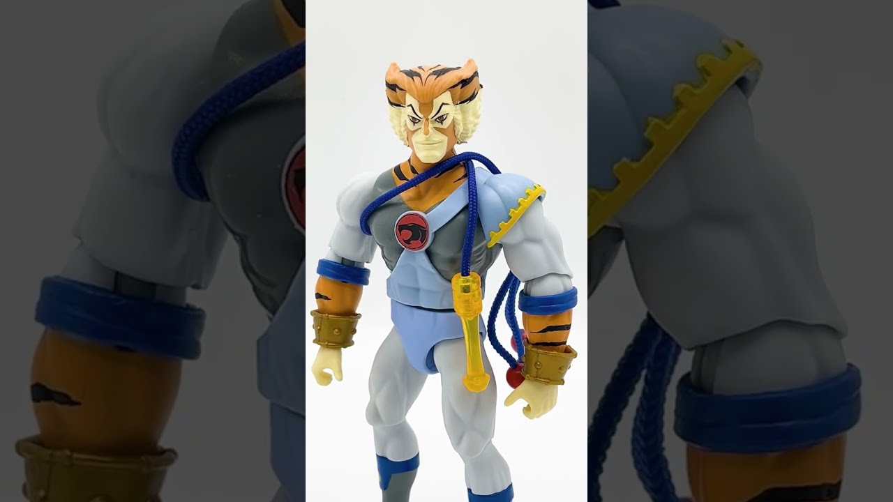 Action Figure FIX and paint repair for Tygra MOTU Thundercats