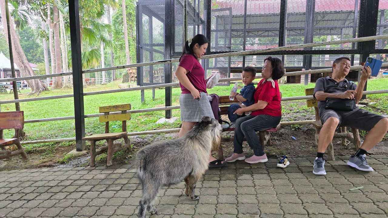 🌿 Taman Pertanian Malaysia 一日游｜亲子自然体验与农业教育之旅