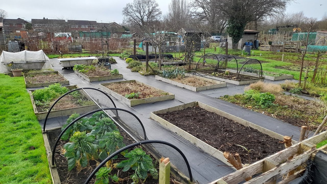 Allotment Year 7 - Dec 24th 2024 Tour