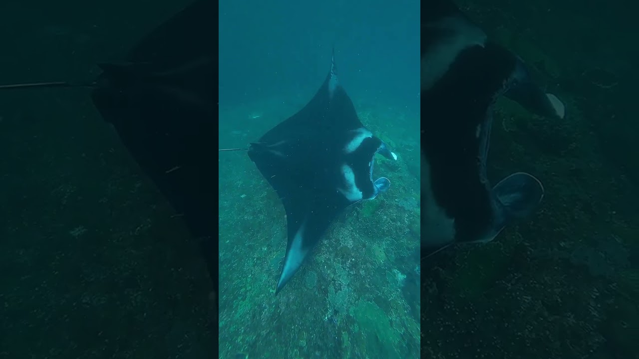 🌴 Nusa Penida – Traumhafte Strände & Mantarochen hautnah erleben mit alltours & 