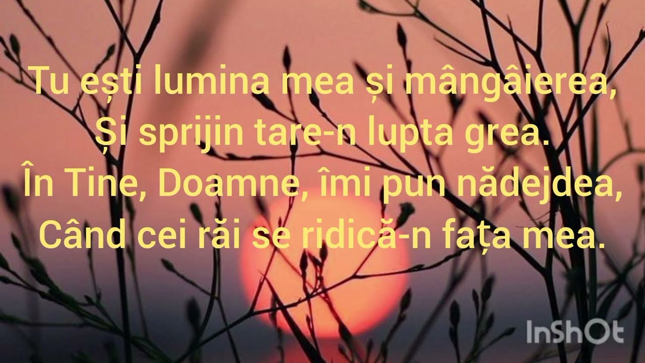 Negativ(ton jos)&Versuri - În casa Ta(stanca)