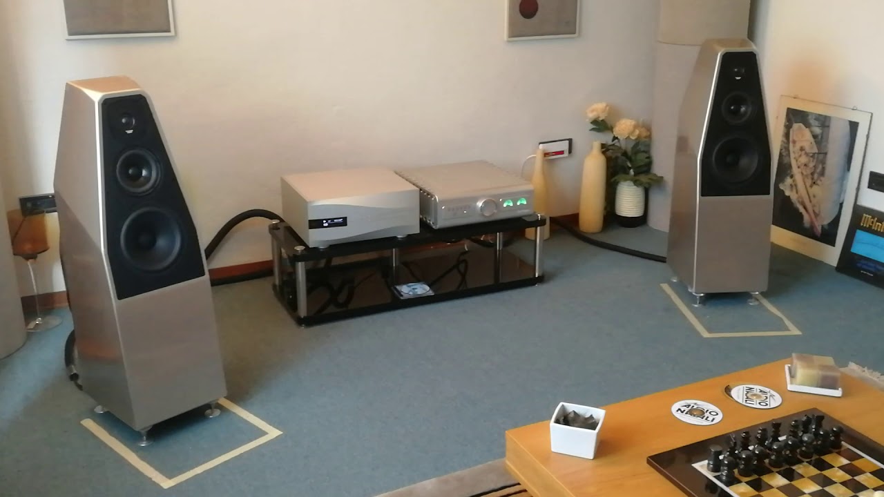 Wilson Audio SabrinaX, D'Agostino Progression integrato, Dcs Vivaldi
