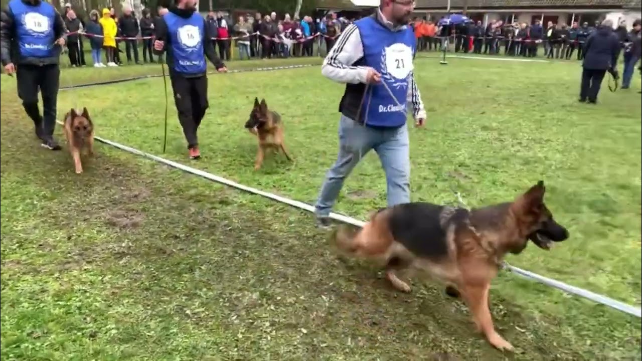 OG Bellheim 2024 Adult Female 🇩🇪🏆🇩🇪