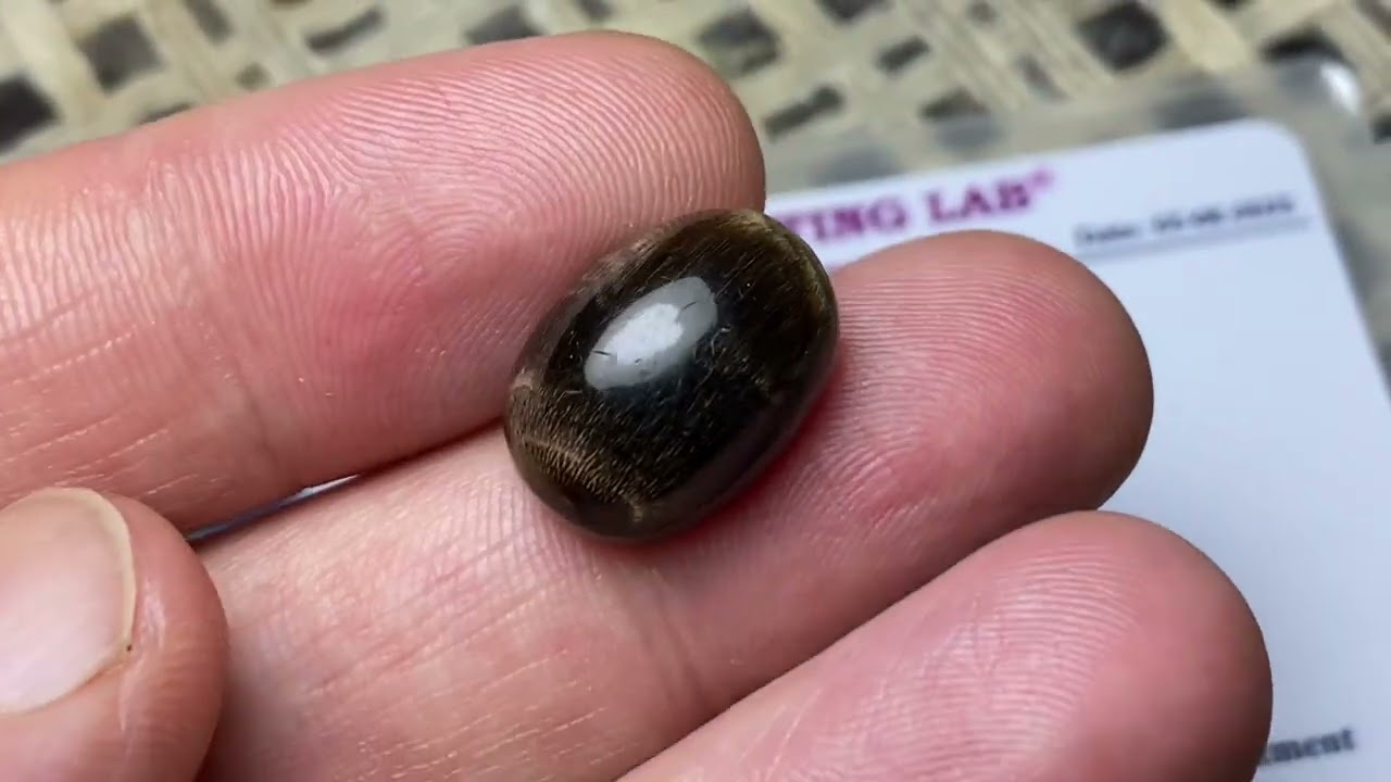 Rare Black Coral🖤#viralvideo #trending #foryou 