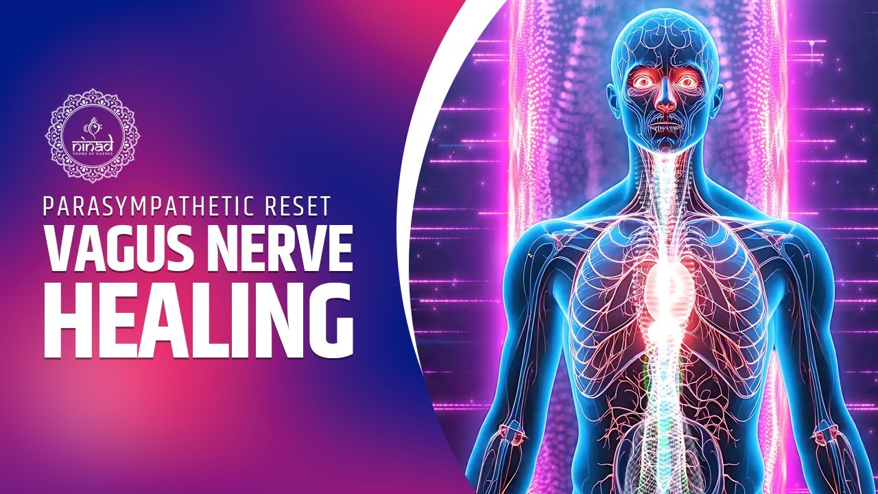 🧘 Parasympathetic Reset 🧘 432Hz Vagus Nerve Healing | Relax, Repair & Restore Inner Balance