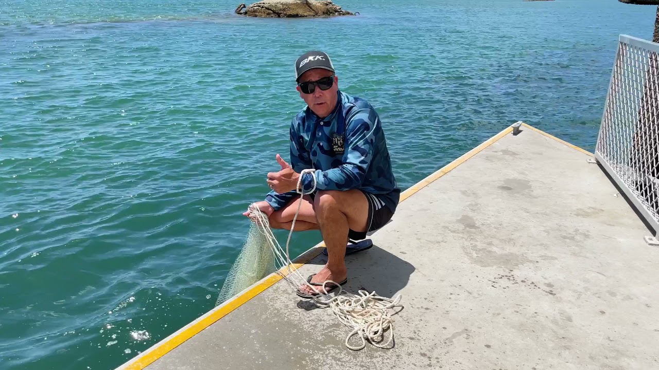 HOW TO CATCH LIVE BAIT - PART ONE